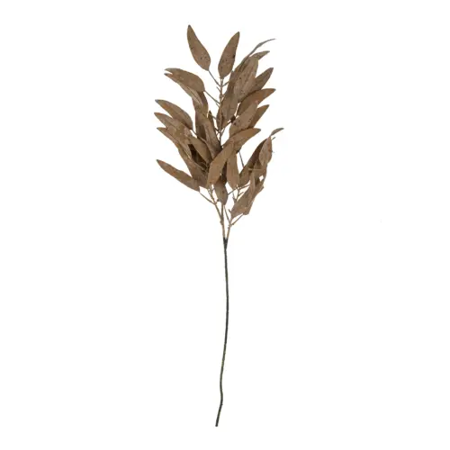 dried eucalyptus stem, cream