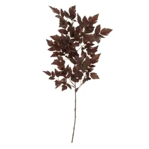 plum tree branch, large